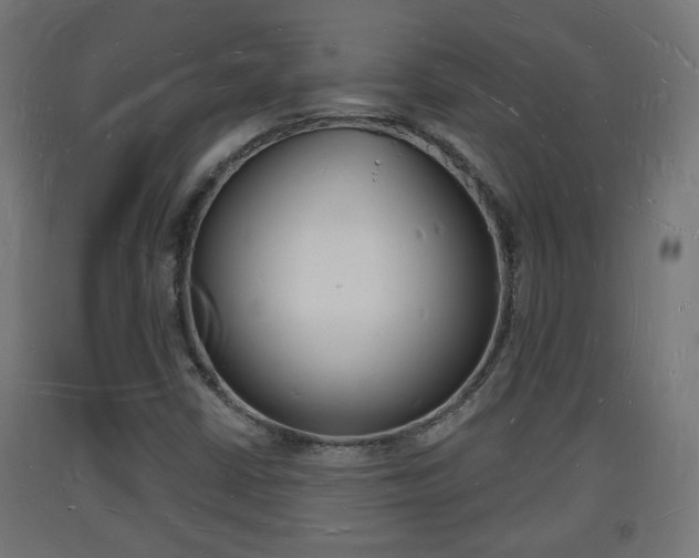 X0000093721402200710160740