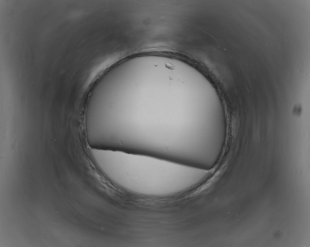 X0000093721405200710160740