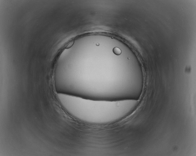 X0000093721407200710160740