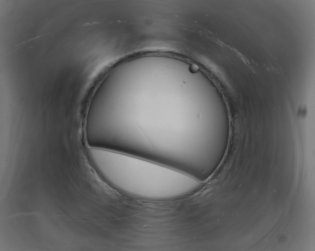 X0000093721408200710160740