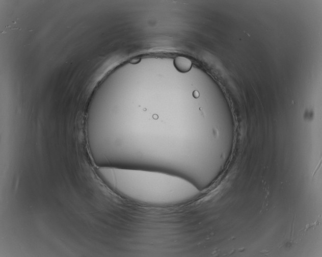 X0000093721409200710160740
