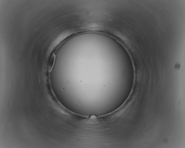 X0000093721410200710160740