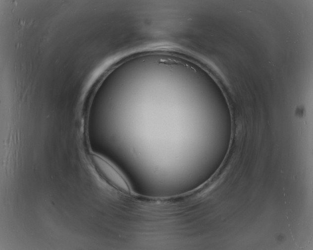 X0000093721414200710160740