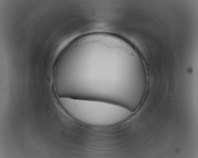 X0000093721415200710160740