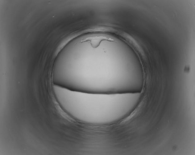 X0000093721417200710160740