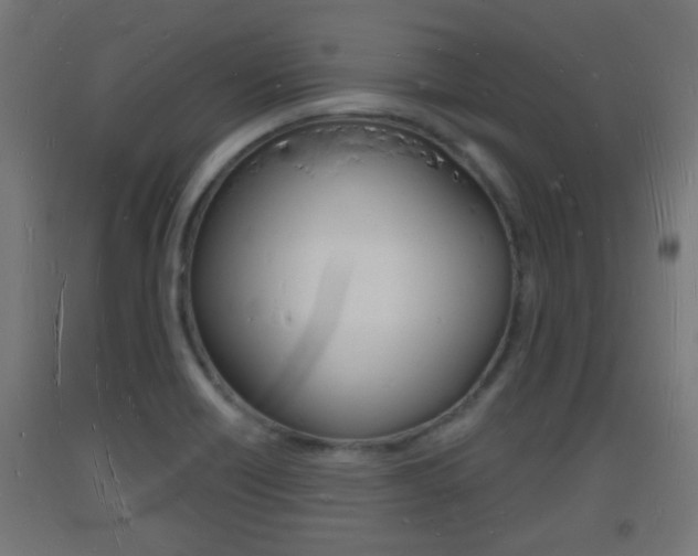 X0000093721418200710160740