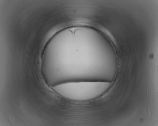 X0000093721419200710160740