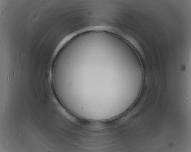 X0000093721420200710160740