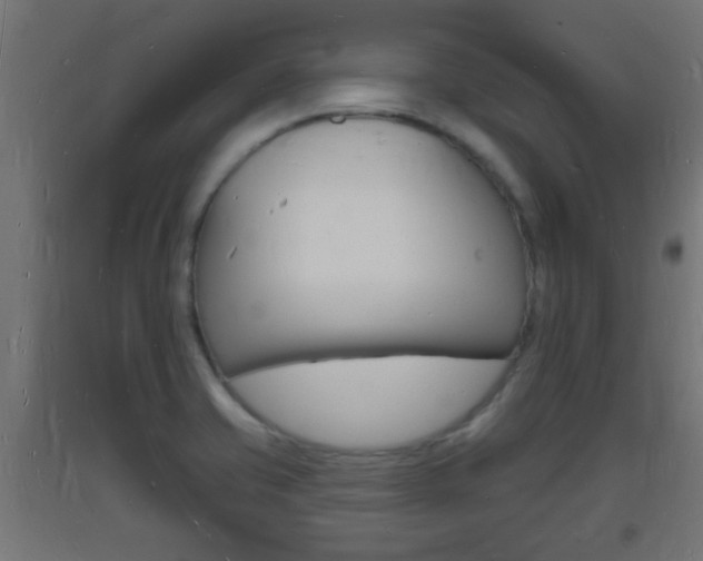 X0000093721421200710160740