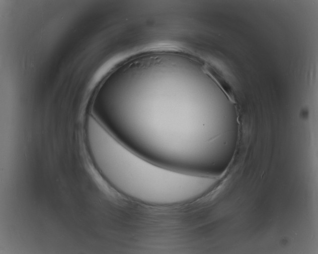 X0000093721422200710160740