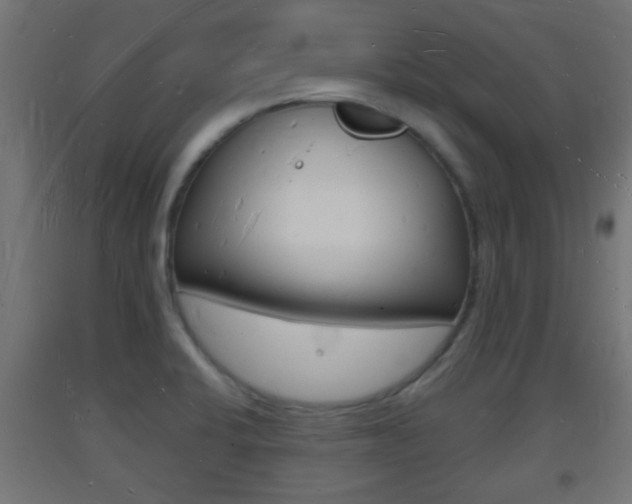 X0000093721424200710160740
