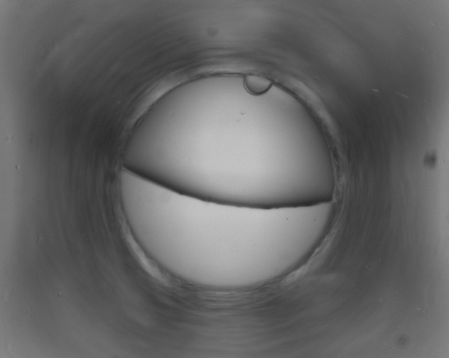 X0000093721425200710160740