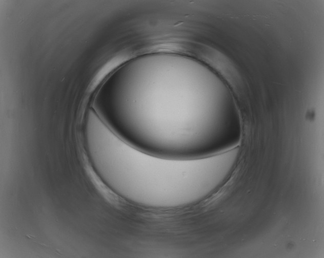 X0000093721426200710160740
