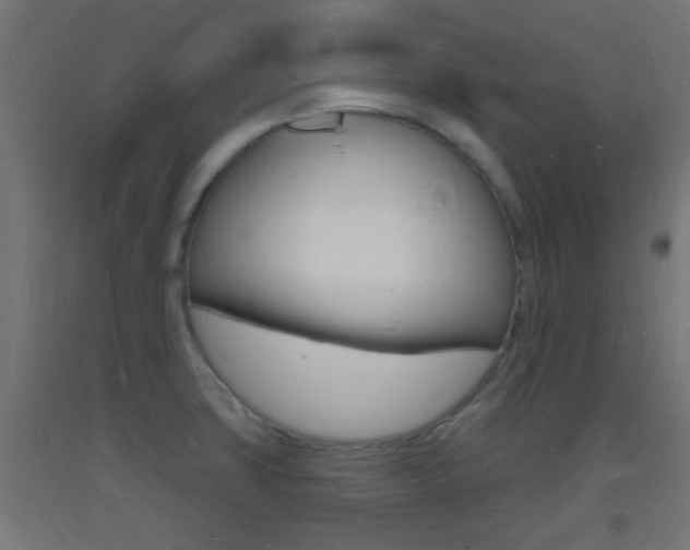 X0000093721427200710160740