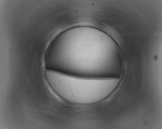 X0000093721428200710160740