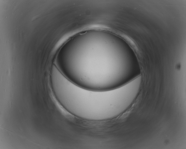 X0000093721430200710160740