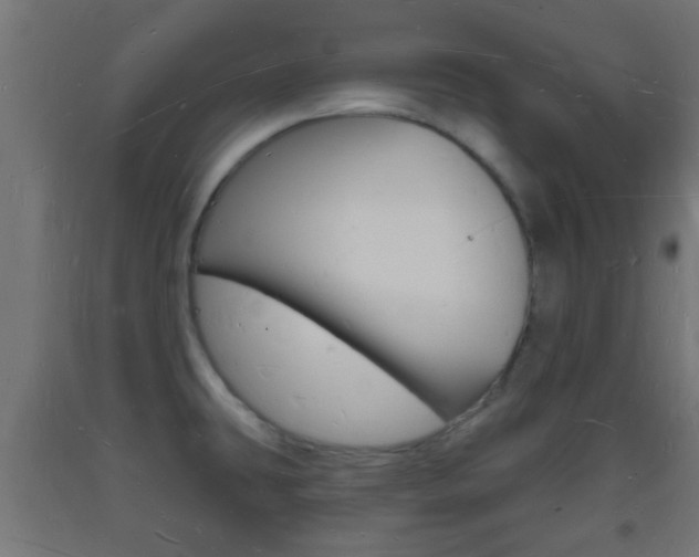 X0000093721431200710160740
