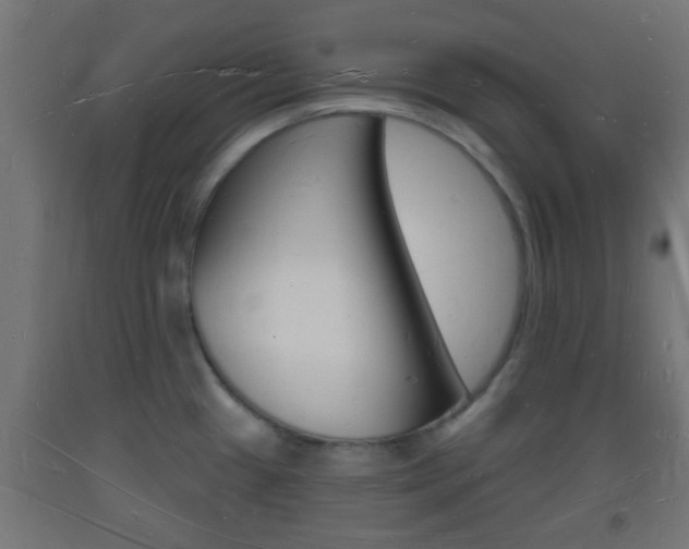 X0000093721433200710160740