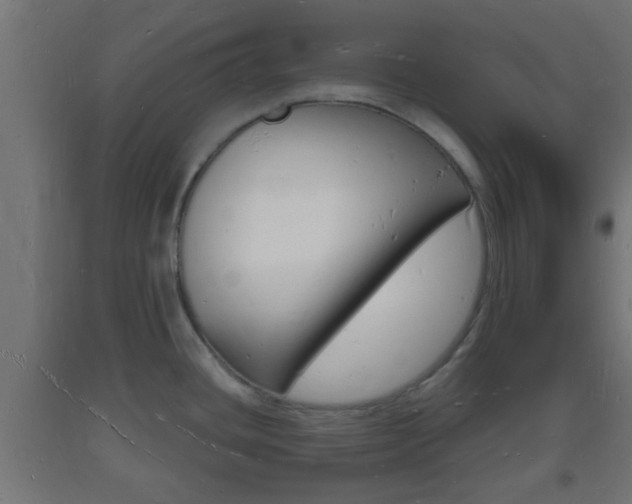 X0000093721436200710160740