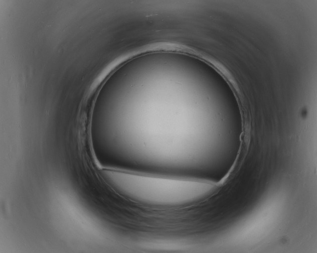 X0000093721438200710160740