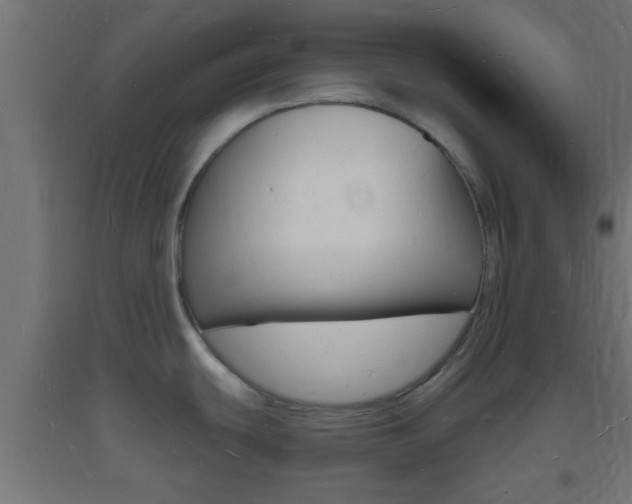 X0000093721439200710160740