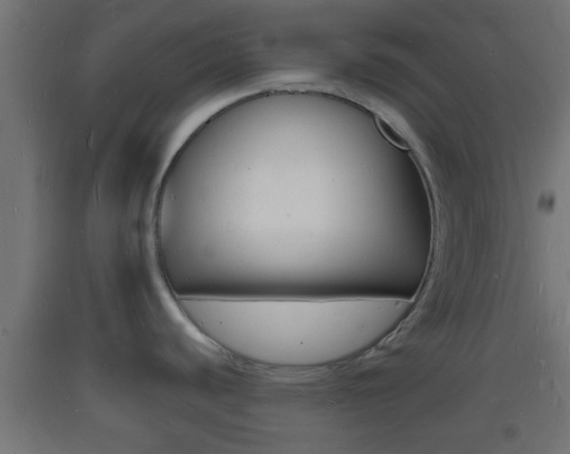 X0000093721440200710160740