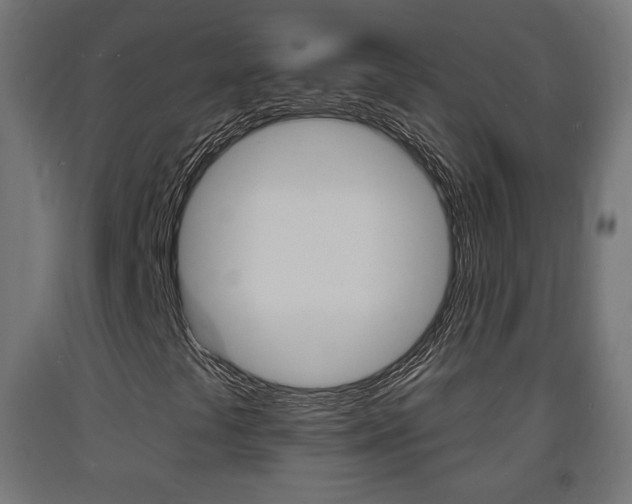 X0000093721441200710160740