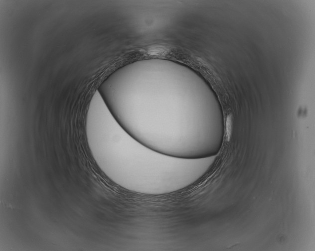 X0000093721443200710160740