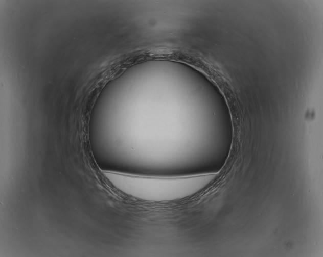 X0000093721445200710160740