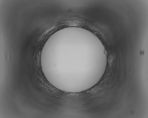 X0000093721446200710160740
