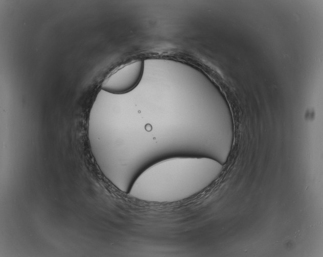 X0000093721447200710160740