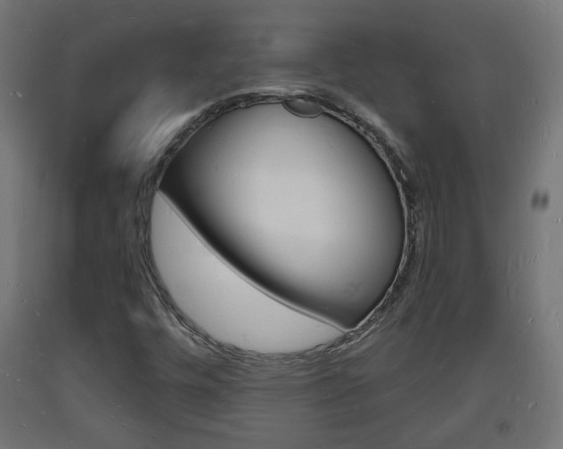 X0000093721448200710160740