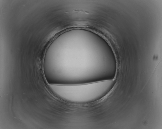 X0000093721449200710160740