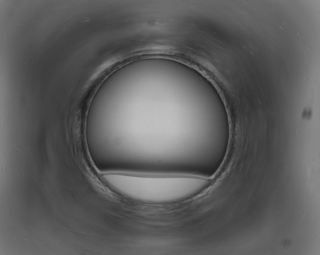 X0000093721450200710160740