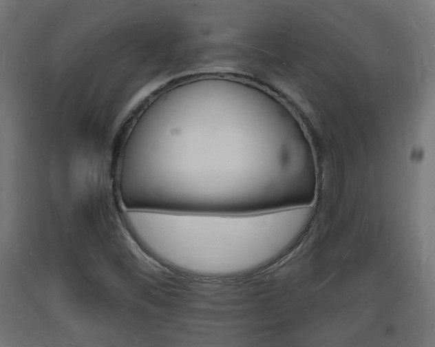 X0000093721452200710160740