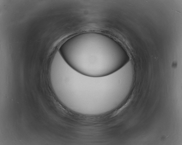 X0000093721453200710160739