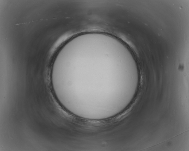 X0000093721454200710160739