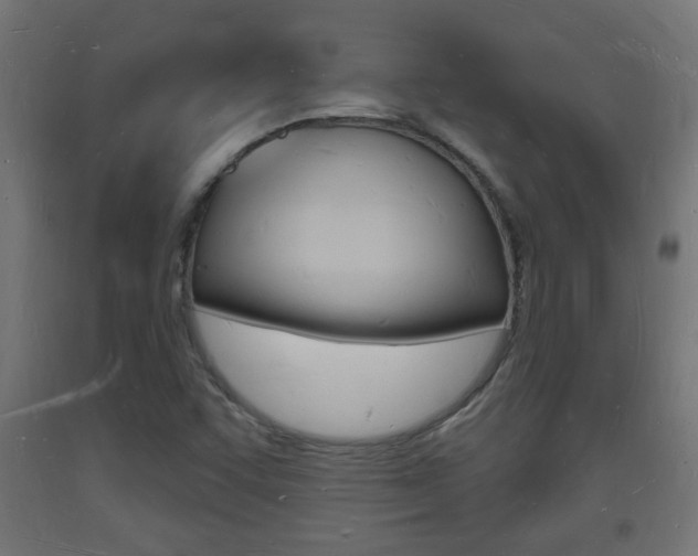X0000093721455200710160739