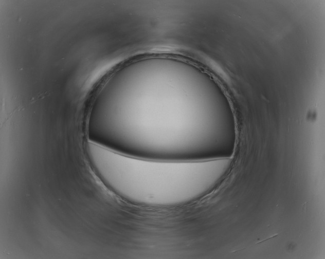 X0000093721456200710160739