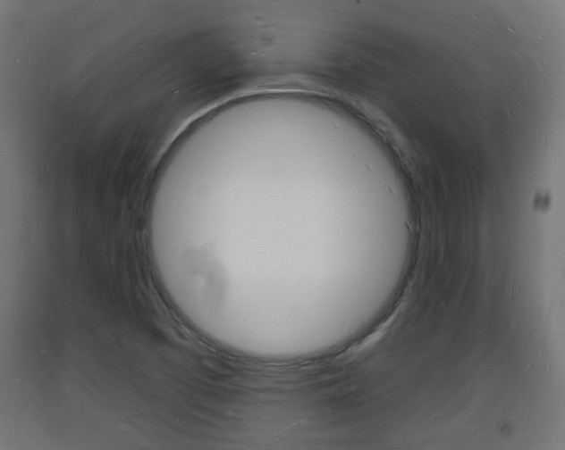 X0000093721457200710160739