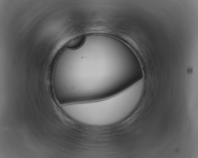X0000093721458200710160739