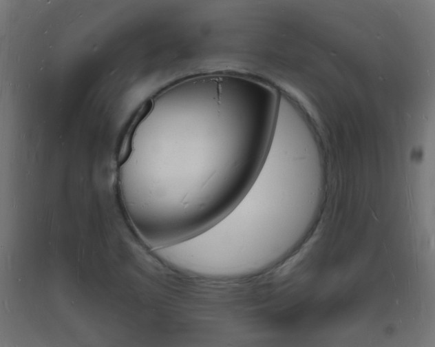 X0000093721461200710160739