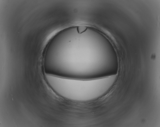 X0000093721463200710160739