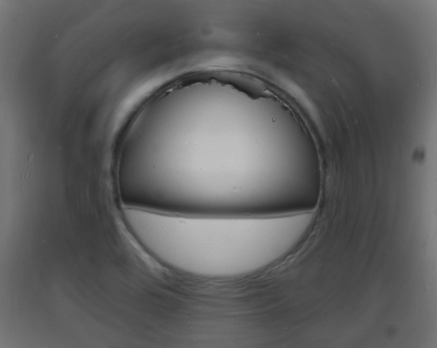 X0000093721464200710160739