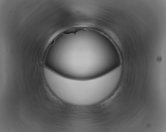 X0000093721465200710160739