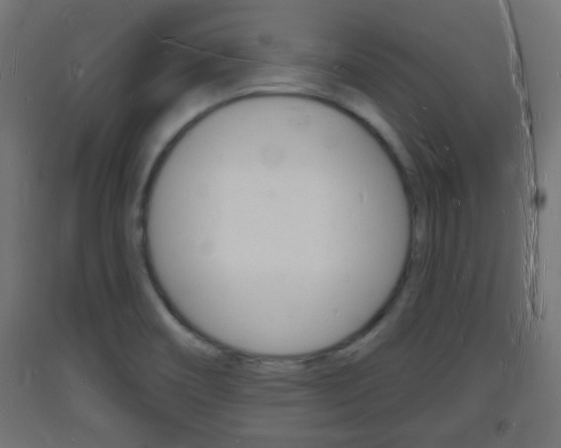 X0000093721466200710160739