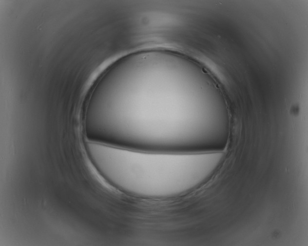 X0000093721468200710160739
