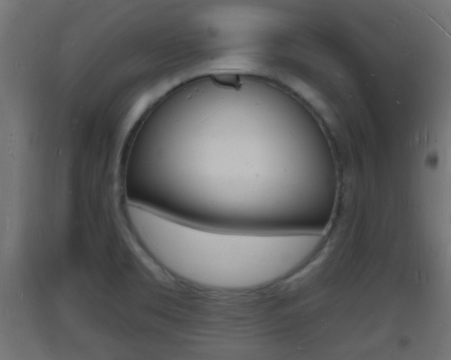 X0000093721469200710160739