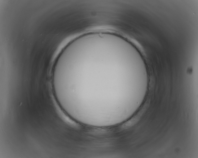 X0000093721470200710160739