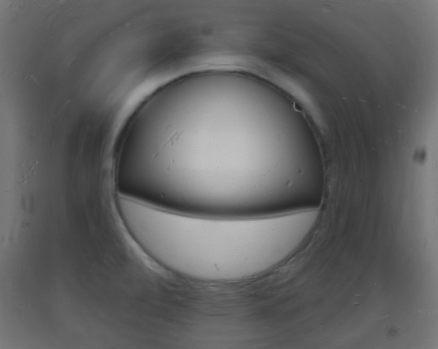 X0000093721472200710160739